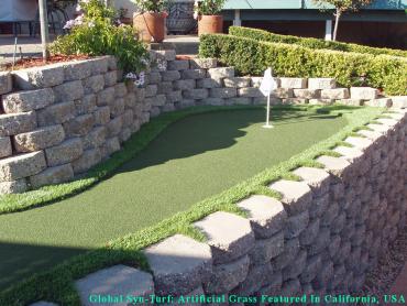 Synthetic Grass Cost Everett, Washington Putting Green Carpet, Backyard Landscaping Ideas artificial grass