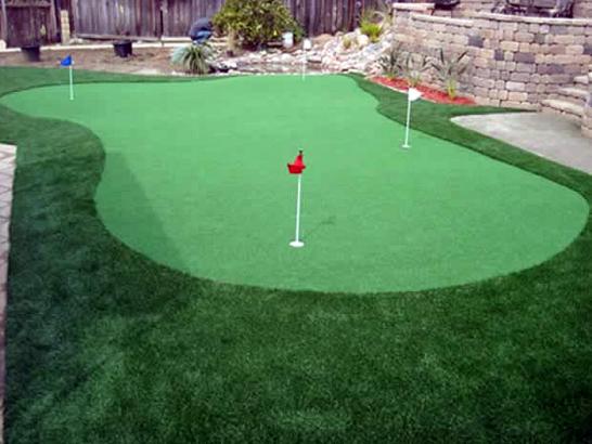 Artificial Grass Photos: Synthetic Grass Cost Fairwood, Washington Home And Garden, Beautiful Backyards