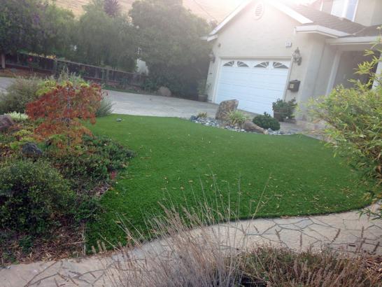 Artificial Grass Photos: Synthetic Grass Cost Farmington, Washington Paver Patio, Front Yard Landscaping Ideas