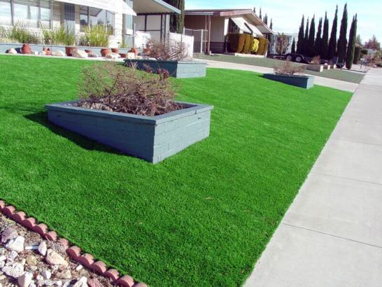 Artificial Grass Photos: Synthetic Grass Cost Lakeland South, Washington Backyard Deck Ideas, Front Yard Landscape Ideas