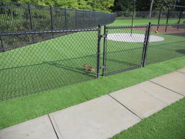 Artificial Grass Photos: Synthetic Grass Cost Moses Lake North, Washington Landscaping Business, Parks