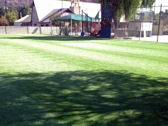 Artificial Grass Photos: Synthetic Grass Cost Nespelem Community, Washington Lawn And Garden, Parks