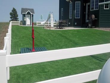 Artificial Grass Photos: Synthetic Grass Cost Newport, Washington Home And Garden, Landscaping Ideas For Front Yard