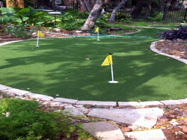 Artificial Grass Photos: Synthetic Grass Cost Port Orchard, Washington Design Ideas, Backyards