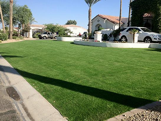 Artificial Grass Photos: Synthetic Grass Cost SeaTac, Washington Landscape Photos, Front Yard Ideas