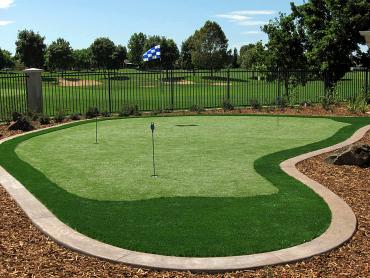 Artificial Grass Photos: Synthetic Grass Cost Sumas, Washington Landscape Rock, Backyards