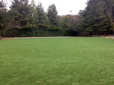 Artificial Grass Photos: Synthetic Grass Cost Tanner, Washington Landscape Design, Parks