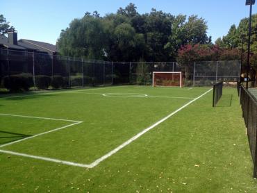 Artificial Grass Photos: Synthetic Grass Cost Woodinville, Washington Backyard Soccer, Commercial Landscape