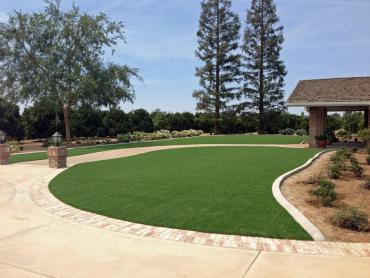 Artificial Grass Photos: Synthetic Grass Entiat, Washington Gardeners, Landscaping Ideas For Front Yard