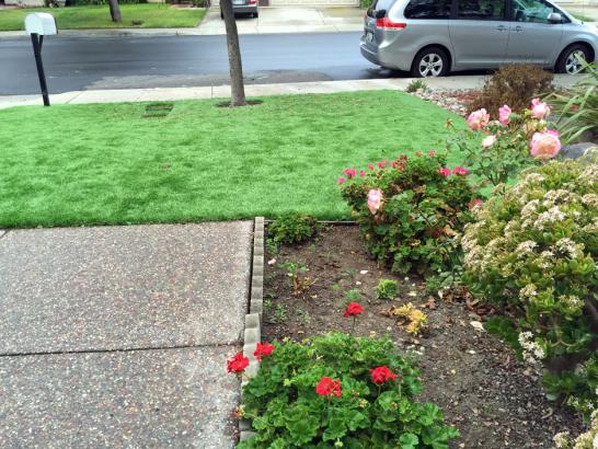 Artificial Grass Photos: Synthetic Grass Lacey, Washington Artificial Turf For Dogs, Front Yard Design