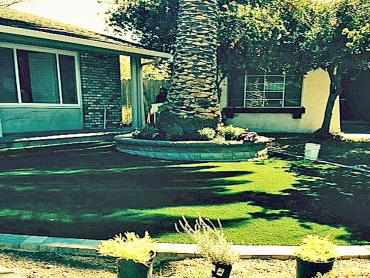 Artificial Grass Photos: Synthetic Grass Lewisville, Washington Lawn And Garden, Front Yard Ideas