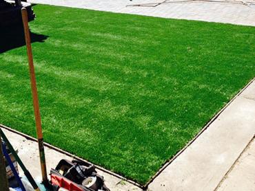 Artificial Grass Photos: Synthetic Grass Machias, Washington Design Ideas