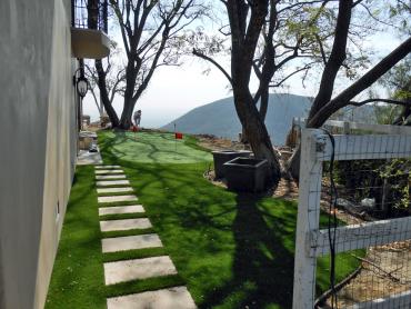 Artificial Grass Photos: Synthetic Grass Pateros, Washington Home Putting Green, Backyard Designs