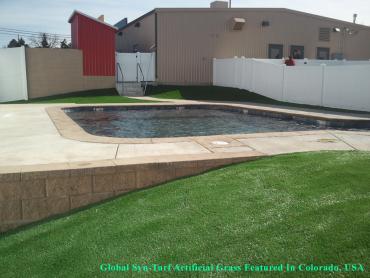 Artificial Grass Photos: Synthetic Grass South Hill, Washington Home And Garden, Backyard Pool