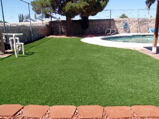 Artificial Grass Photos: Synthetic Grass Spokane Valley, Washington Backyard Playground, Pool Designs