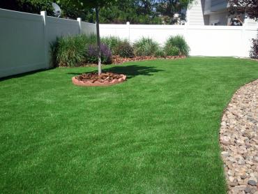 Synthetic Grass University Place, Washington Garden Ideas, Backyard Design artificial grass