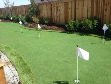 Artificial Grass Photos: Synthetic Grass Wapato, Washington Putting Green, Backyard Design