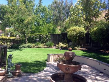 Artificial Grass Photos: Synthetic Grass Washougal, Washington Lawn And Landscape, Backyards
