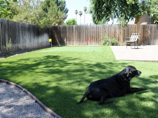 Artificial Grass Photos: Synthetic Grass Wollochet, Washington Fake Grass For Dogs, Backyard Designs