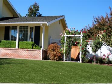 Artificial Grass Photos: Synthetic Lawn Bell Hill, Washington Rooftop, Front Yard