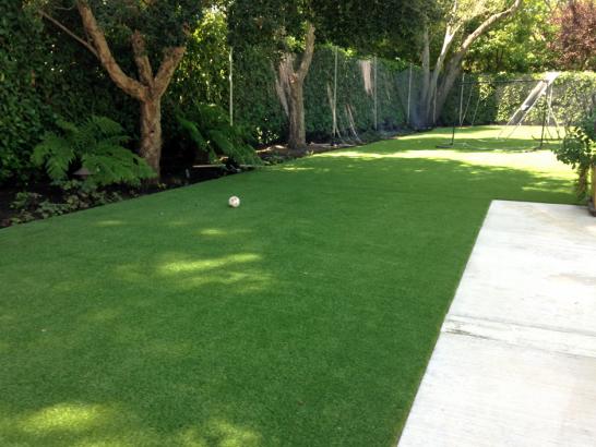 Artificial Grass Photos: Synthetic Lawn Cowiche, Washington Drainage