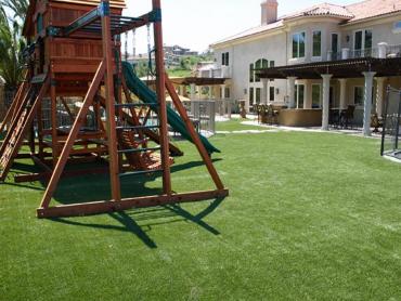 Artificial Grass Photos: Synthetic Lawn Dishman, Washington Playground Flooring, Backyard Makeover