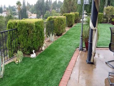 Artificial Grass Photos: Synthetic Lawn Echo Lake, Washington Rooftop, Backyard