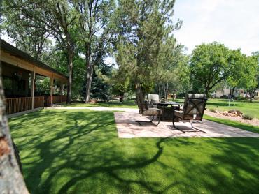 Artificial Grass Photos: Synthetic Lawn Five Corners, Washington Gardeners, Backyard Ideas