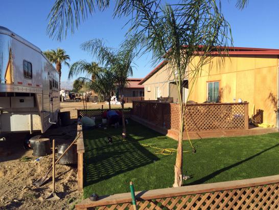 Artificial Grass Photos: Synthetic Lawn Humptulips, Washington Rooftop, Backyard Designs