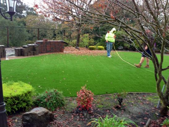 Artificial Grass Photos: Synthetic Lawn Kapowsin, Washington City Landscape, Backyard Landscape Ideas