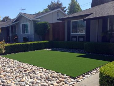 Artificial Grass Photos: Synthetic Lawn Lake Forest Park, Washington Landscape Photos, Front Yard Ideas