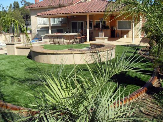 Artificial Grass Photos: Synthetic Lawn Lake Morton-Berrydale, Washington Backyard Playground, Backyard Landscape Ideas