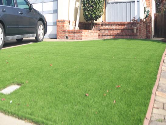 Artificial Grass Photos: Synthetic Lawn Lake Stevens, Washington Rooftop, Front Yard