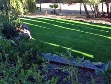 Artificial Grass Photos: Synthetic Lawn Long Beach, Washington Landscaping Business, Small Backyard Ideas