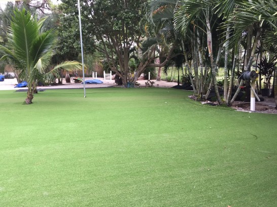 Artificial Grass Photos: Synthetic Lawn Mattawa, Washington Lawns, Commercial Landscape