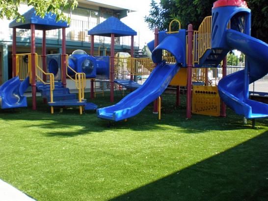 Artificial Grass Photos: Synthetic Lawn Mercer Island, Washington Lawn And Landscape, Commercial Landscape