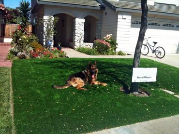 Artificial Grass Photos: Synthetic Lawn Opportunity, Washington Garden Ideas, Front Yard Ideas