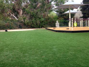 Artificial Grass Photos: Synthetic Lawn Purdy, Washington Kids Indoor Playground