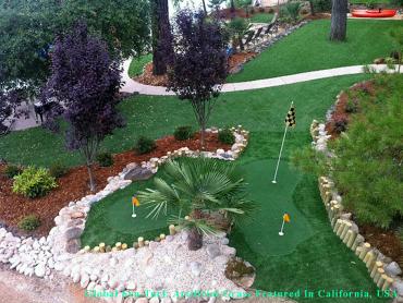 Artificial Grass Photos: Synthetic Lawn Seattle, Washington Indoor Putting Green, Backyard Designs