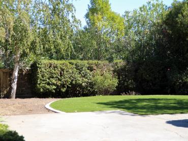 Artificial Grass Photos: Synthetic Lawn Toledo, Washington Lawns, Backyard Design