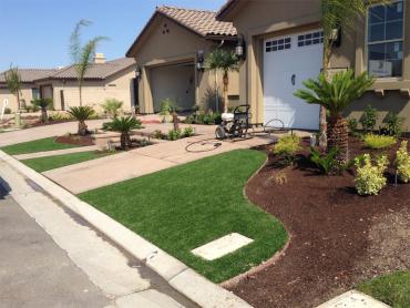 Artificial Grass Photos: Synthetic Turf Bangor Trident Base, Washington Design Ideas, Front Yard Ideas