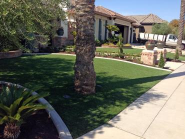 Artificial Grass Photos: Synthetic Turf Edgewood, Washington Lawn And Garden, Front Yard Design