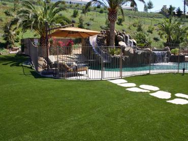 Artificial Grass Photos: Synthetic Turf Ferndale, Washington Garden Ideas, Pavers