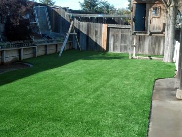 Artificial Grass Photos: Synthetic Turf La Conner, Washington Landscape Ideas, Backyard Makeover