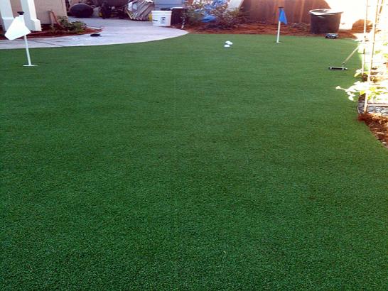 Artificial Grass Photos: Synthetic Turf Lake McMurray, Washington Putting Green Turf, Backyard Landscaping