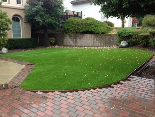 Artificial Grass Photos: Synthetic Turf Lamont, Washington City Landscape, Small Front Yard Landscaping