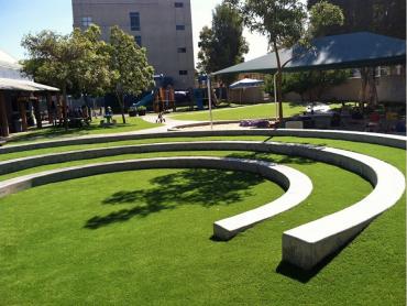 Artificial Grass Photos: Synthetic Turf Mountlake Terrace, Washington Indoor Playground, Commercial Landscape