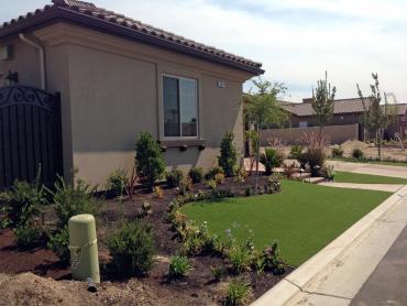 Artificial Grass Photos: Synthetic Turf Newport, Washington Backyard Playground, Front Yard Landscaping