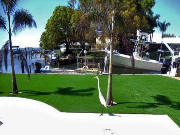 Artificial Grass Photos: Synthetic Turf Sammamish, Washington Landscape Rock, Backyard Garden Ideas