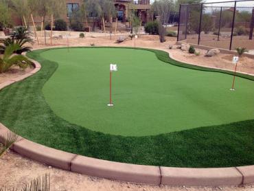 Artificial Grass Photos: Synthetic Turf Smokey Point, Washington Putting Green Carpet, Backyard Design